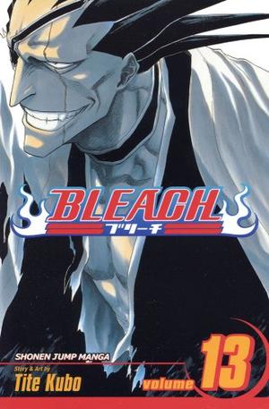 "Bleach v. 13" av Tite Kubo