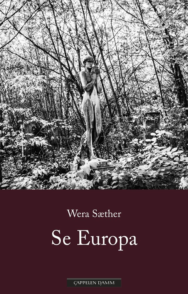 "Se Europa - (caput mortuum)" av Wera Sæther