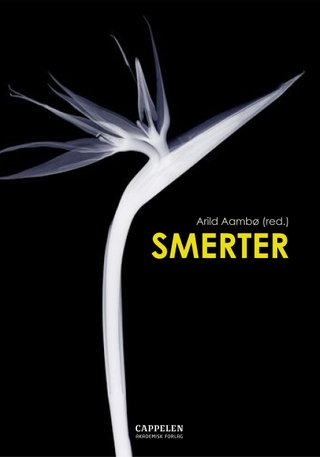 Smerter - smerteopplevelse og atferd