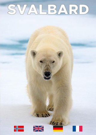 "Svalbard" av Malvin Karlsen