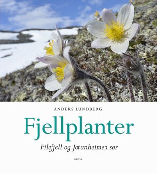 Fjellplanter - Filefjell og Jotunheimen sør
