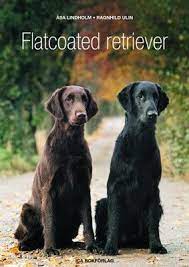 "Flatcoated Retriever" av Åsa Lindholm