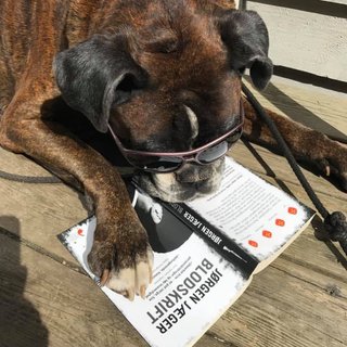 Anne Lise Johannessen