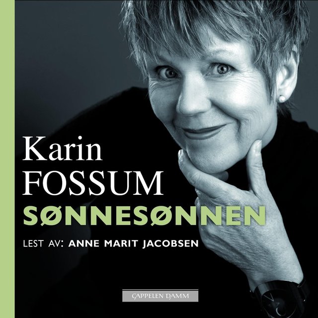 "Sønnesønnen" av Karin Fossum
