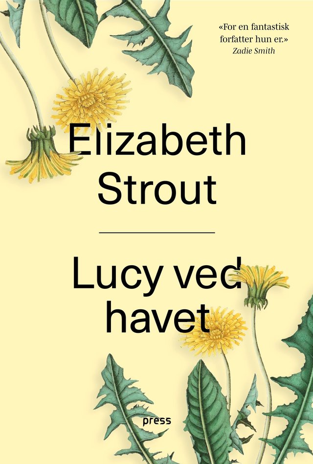 "Lucy ved havet" av Elizabeth Strout
