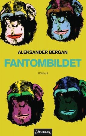 Fantombildet - roman