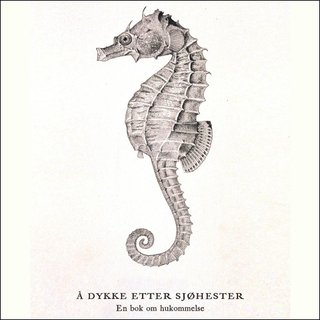 Å dykke etter sjøhester - en bok om hukommelse