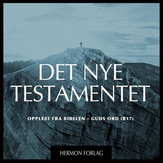 Det nye testamentet