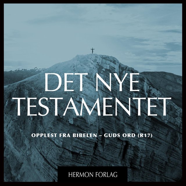 "Det nye testamentet" av Ingulf Diesen