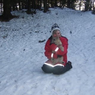 Susanne M. Syvertsen