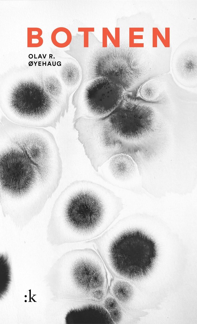 "Botnen - forteljingar" av Olav R. Øyehaug