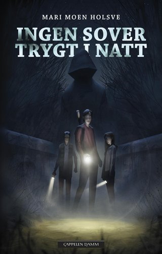 "Ingen sover trygt i natt" av Mari Moen Holsve