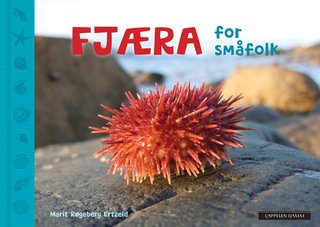 "Fjæra for småfolk" av Marit Røgeberg Ertzeid