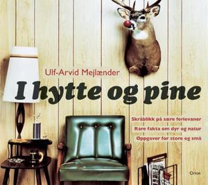 "I hytte og pine - skråblikk på sære ferievaner" av Ulf-Arvid Mejlænder