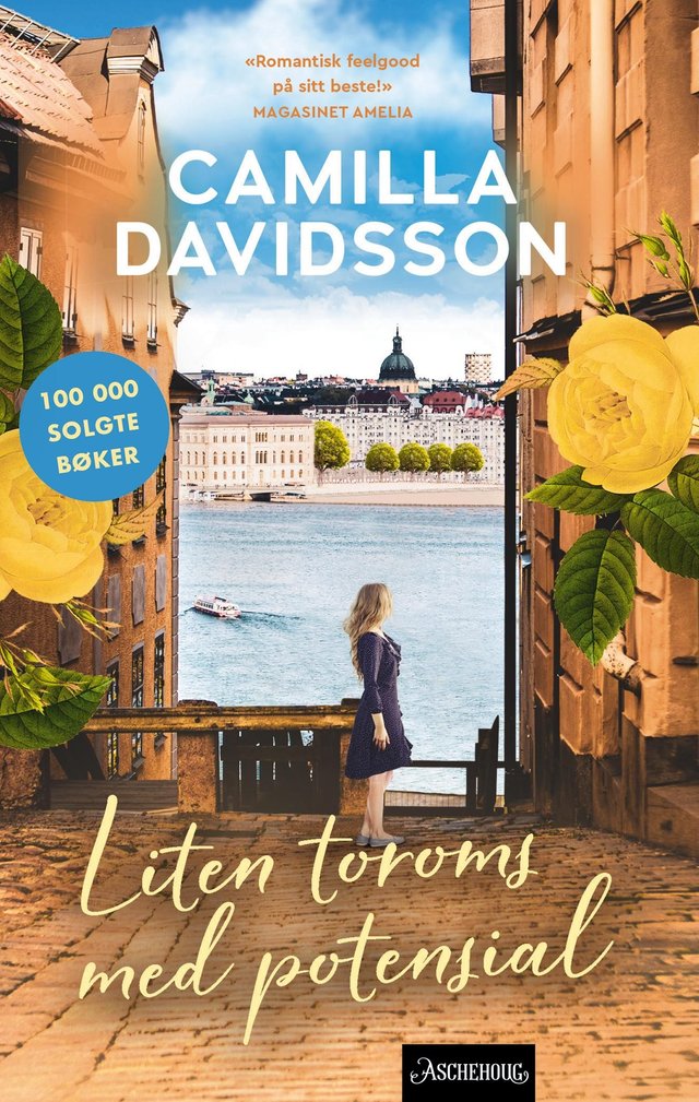 "Liten toroms med potensial" av Camilla Davidsson