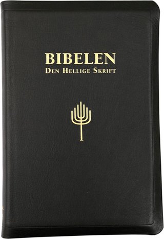 Bibelen - Den hellige skrift : Det gamle og Det nye testamentes kanoniske bøker