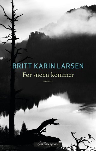 Før snøen kommer - roman