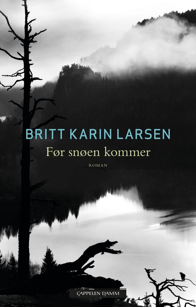 "Før snøen kommer - roman" av Britt Karin Larsen