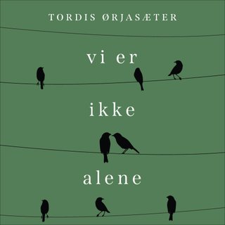 Vi er ikke alene - en personlig historie om annerledesbarnet i litteraturen