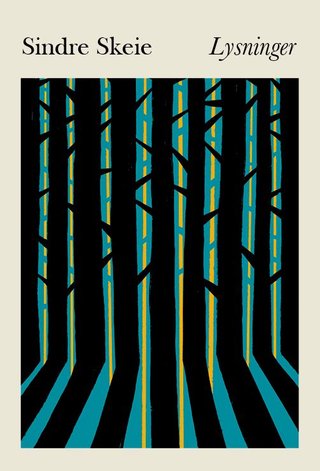 "Lysninger" av Sindre Skeie