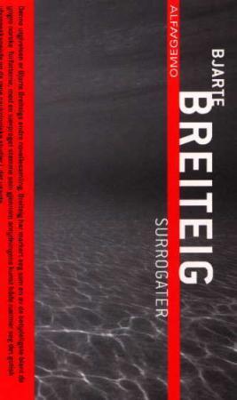 "Surrogater" av Bjarte Breiteig