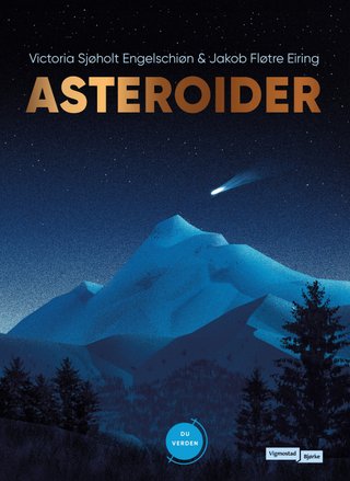 "Asteroider" av Victoria Sjøholt Engelschiøn