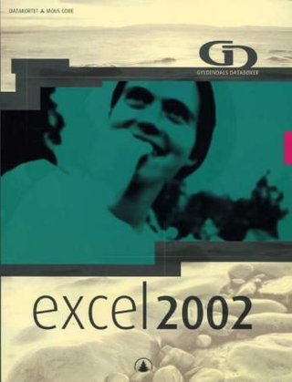 Excel 2002 - datakortet mous core