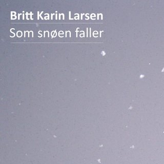 Som snøen faller - roman