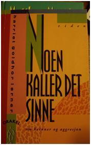 Noen kaller det sinne - om kvinner og aggresjon