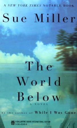 The world below - a novel