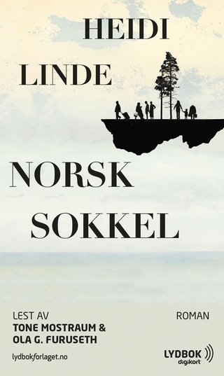 Norsk sokkel - roman