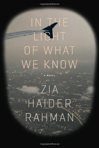In the Light of What We Know - A Novel