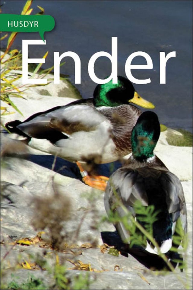 "Ender" av Tania Cheslaw