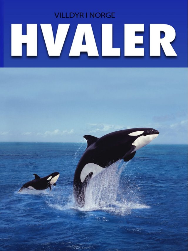 "Hvaler" av Tania Cheslaw