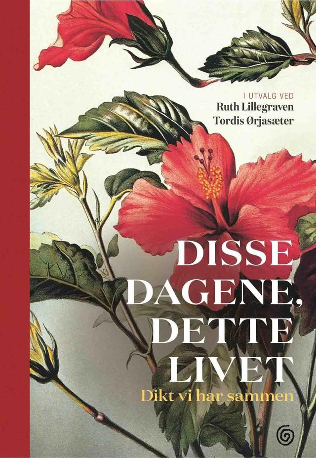 "Disse dagene, dette livet - dikt vi har sammen" av Ruth Lillegraven