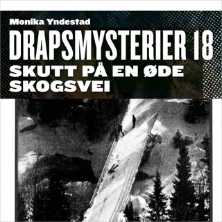 "Skutt på en øde skogsvei" av Monika N. Yndestad