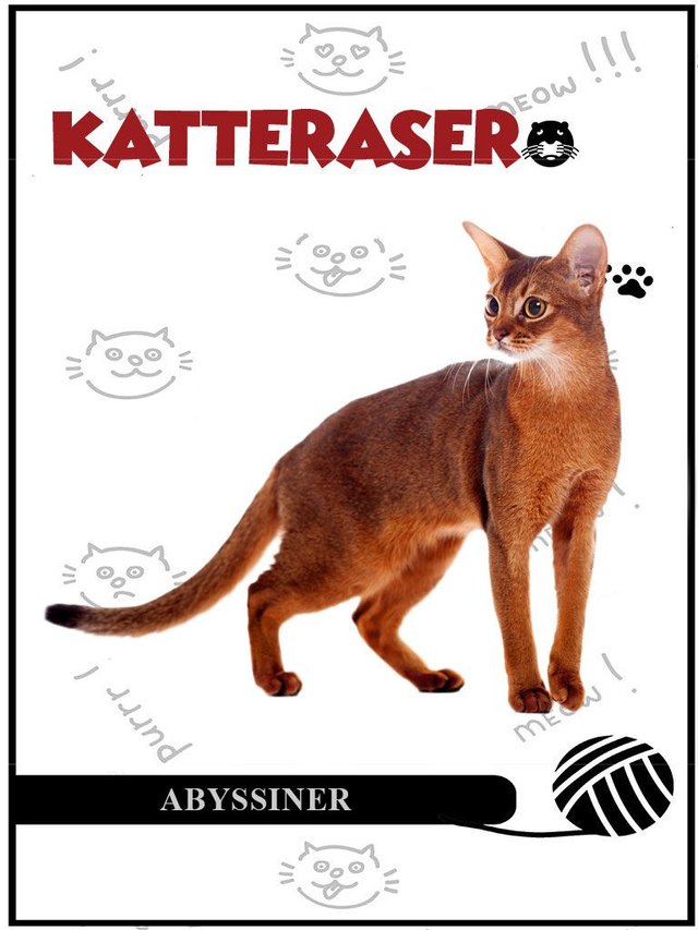 "Abyssiner" av Tania Cheslaw