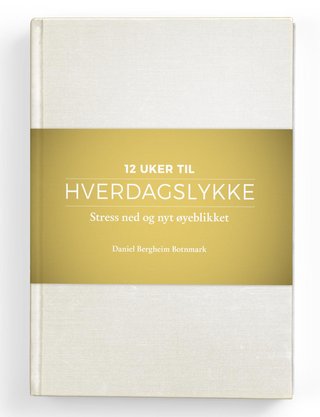 "Hverdagslykke" av Daniel Bergheim Botnmark