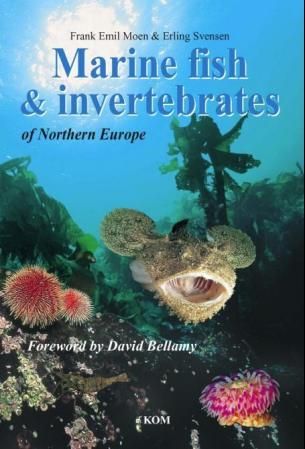 Marine fish and invertebrates of Northern Europe