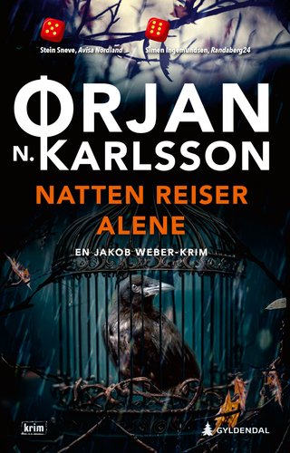 "Natten reiser alene kriminalroman" av Ørjan N. Karlsson