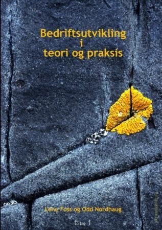 Bedriftsutvikling i teori og praksis