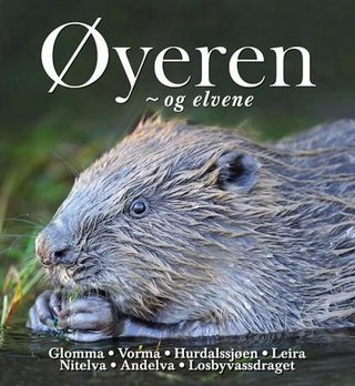 "Øyeren og elvene" av Øystein Søbye