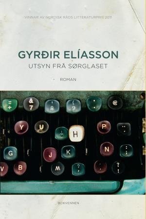 Utsyn frå sørglaset - roman