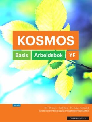 "Kosmos YF" av Siri Halvorsen