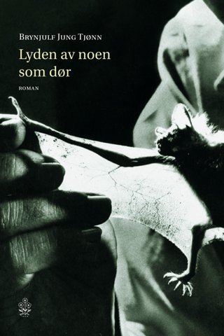 Lyden av noen som d√∏r - roman