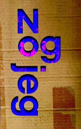 "No og jeg" av Delphine de Vigan