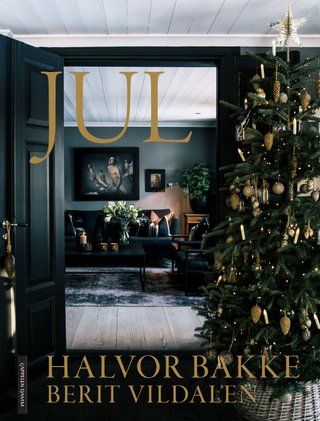 "Jul" av Halvor Bakke