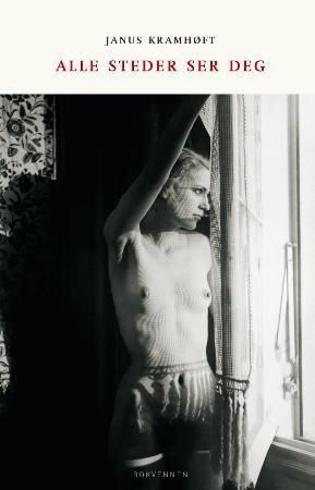 Alle steder ser deg - roman