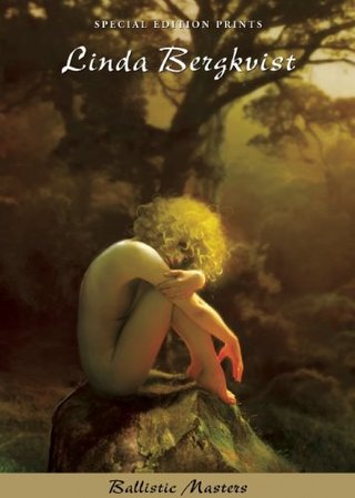 "Ballistic Masters Linda Bergkvist Poster Book" av Linda Bergkvist