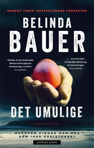 "Det umulige" av Belinda Bauer